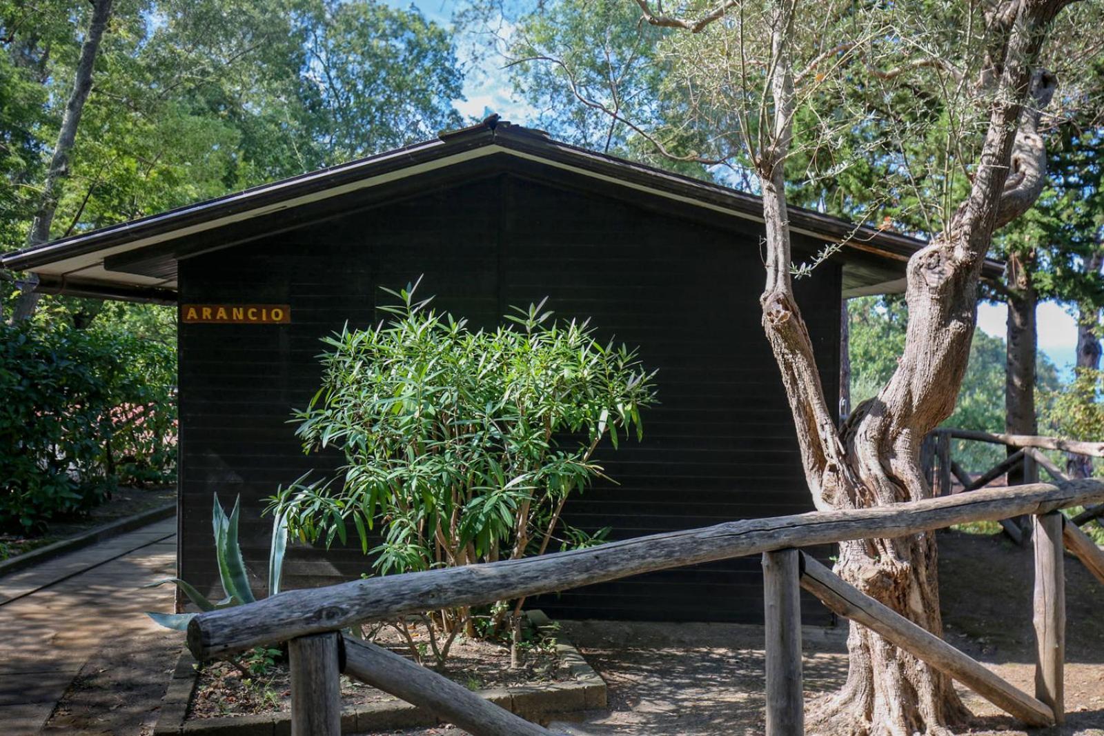 Village Camping Santa Fortunata - Campogaio Península Sorrentina Exterior foto