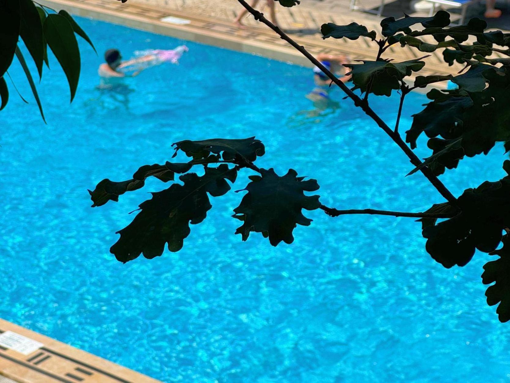 Village Camping Santa Fortunata - Campogaio Península Sorrentina Exterior foto